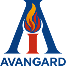 avangard opremanje bunara